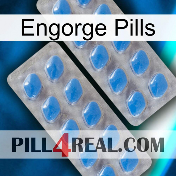 Engorge Pills 23.jpg